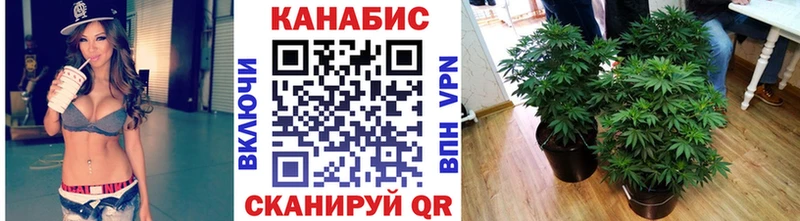 Названия наркотиков Новый Уренгой АМФЕТАМИН  Гашиш  Марихуана 