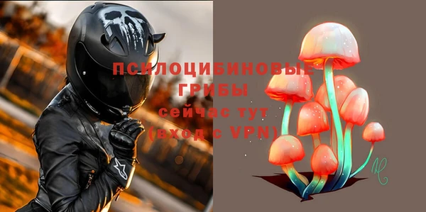 прущие крисы Инсар