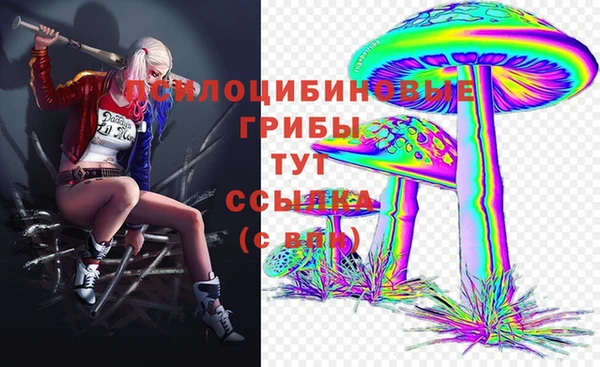 герыч Каменногорск
