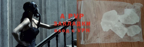 a pvp Инта