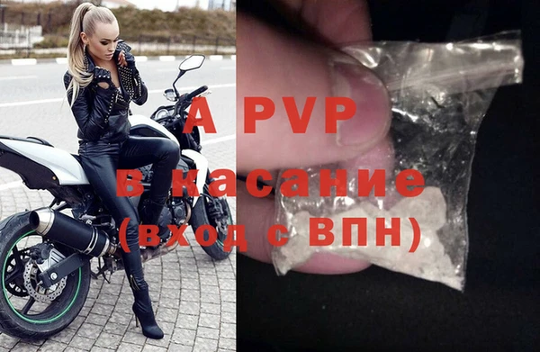a pvp Инта